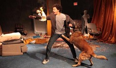 Eric Andre tickets at Fonda Theatre in Los Angeles