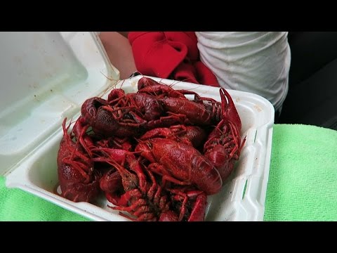 Best bars and restaurants to celebrate Mardi Gras in Dallas and Ft. Worth 2017