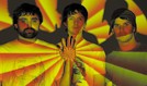 Animal Collective