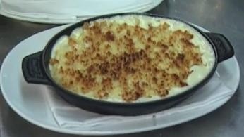 mac n cheese festival 2014 tampa