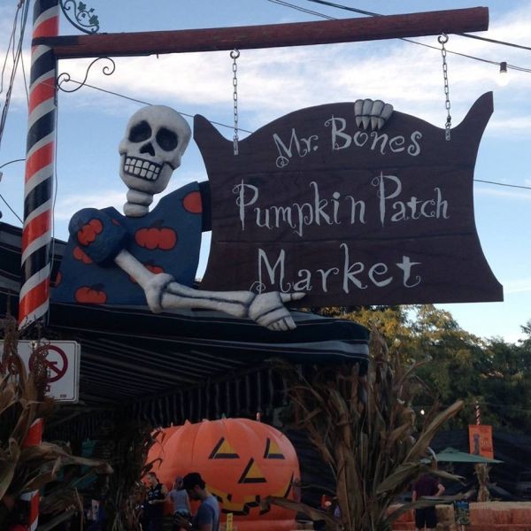 Best Pumpkin Patches In Los Angeles Axs Best Pumpkin Patches In Los Angeles