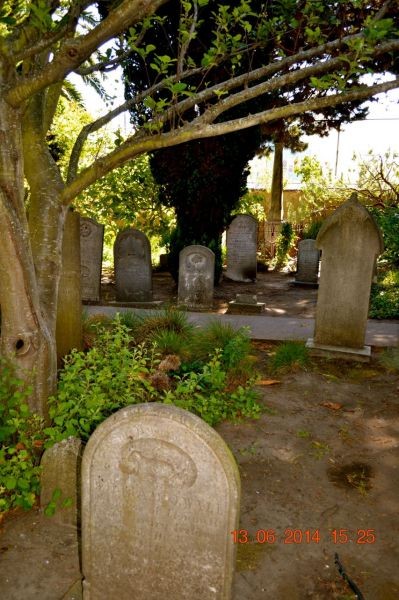 halloween in portland the best haunted houses