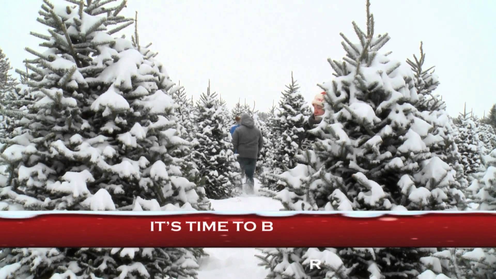 best places to get a christmas tree in columbus ohio axs best places to get a christmas tree in columbus ohio axs