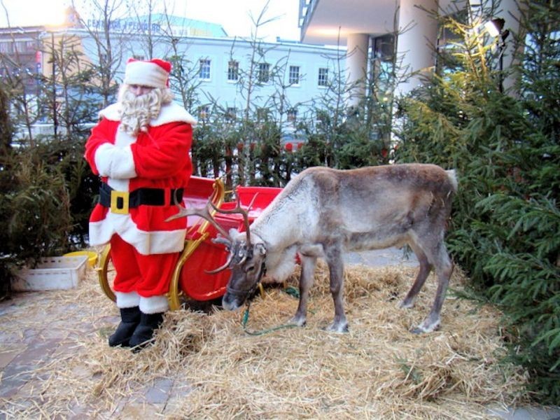 Best places to see Santa in Nashville - AXS