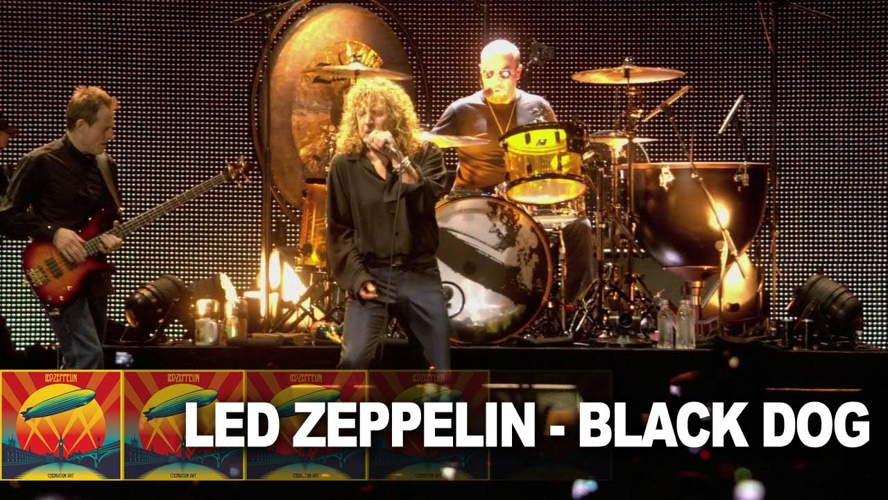 Led Zeppelin Black Dog Live Video Youtube Led Zeppelin Black Dog Live Video Youtube