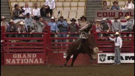 Cow palace rodeo coupons