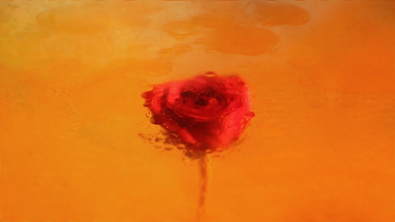 Listen to Moses Sumney's stunning new single 'Quarrel'