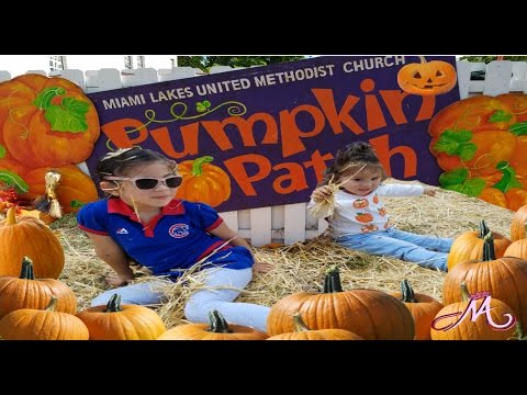 Corn Mazes And Pumpkin Patches Near Miami Ft Lauderdale 2017 Axs Corn Mazes And Pumpkin Patches Near Miami Ft Lauderdale 2017