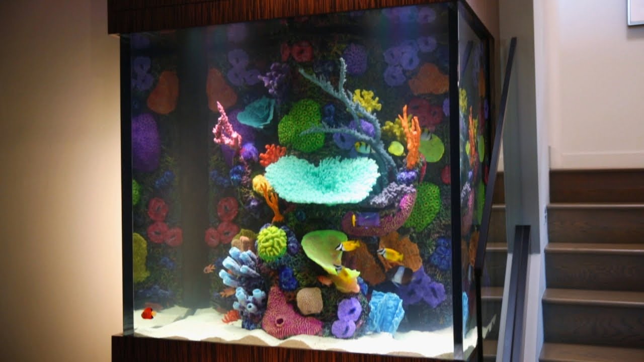 list of tanked aquariums