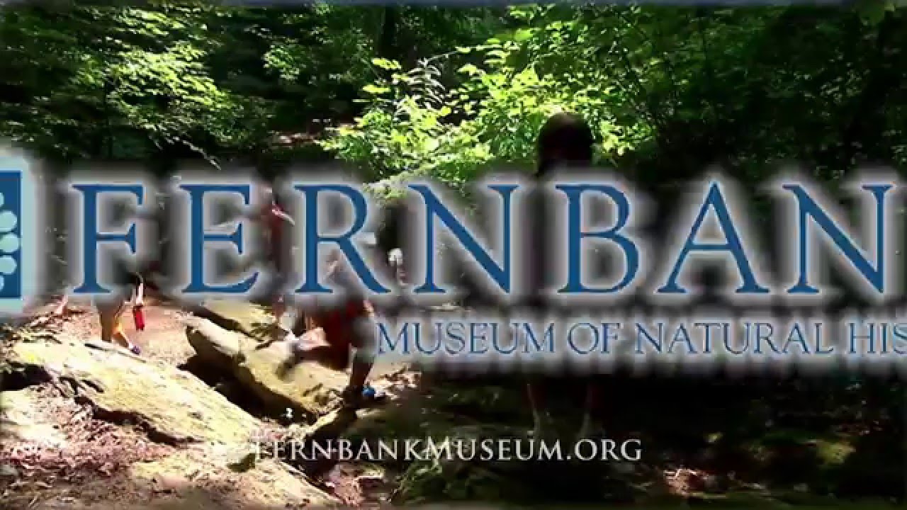 Atlanta Gladiators build relationship with Fernbank Museum