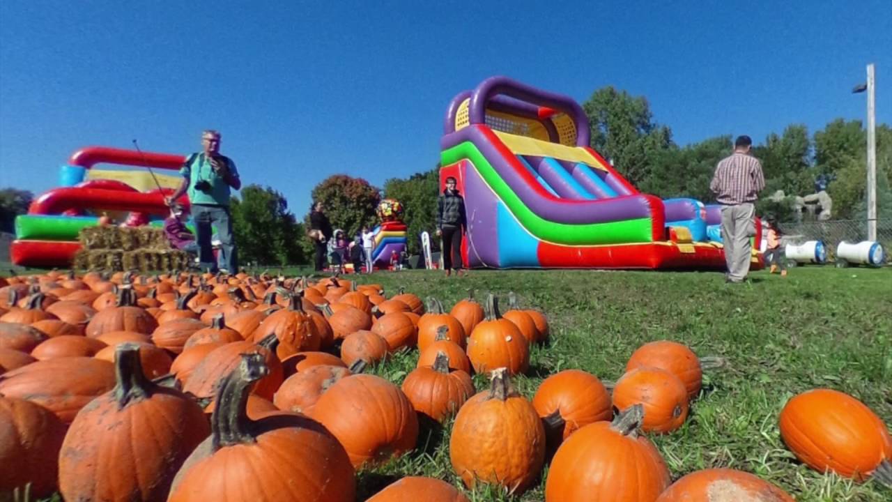 Corn mazes and pumpkin patches near Minneapolis and St. Paul 2018