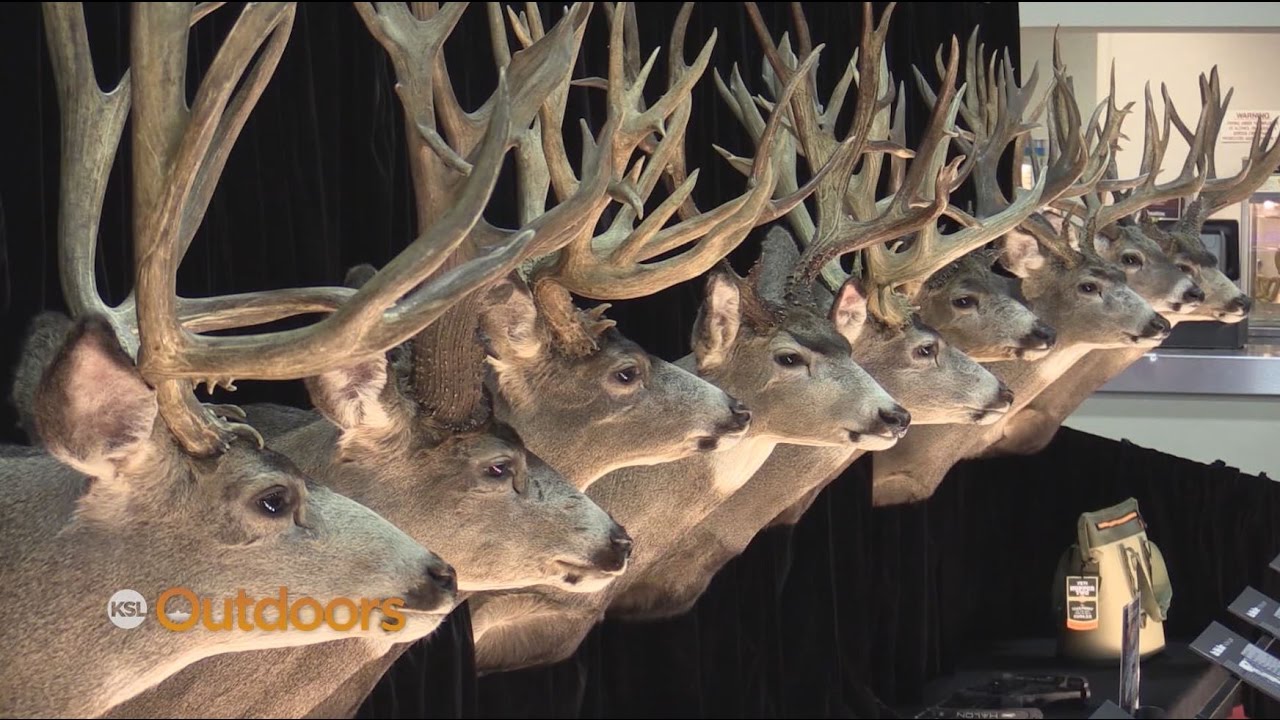 International Sportsmen's Expo returning to Denver for 2019 event in January