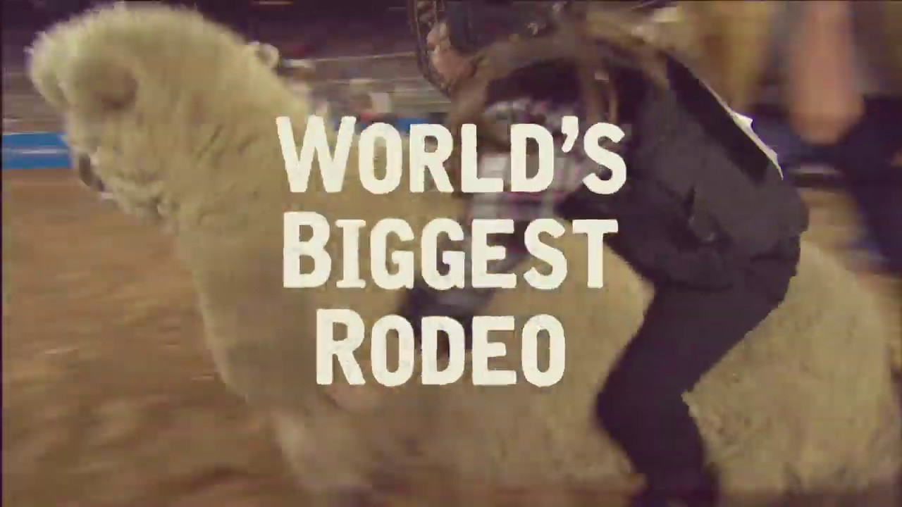 7 things to do at Houston Livestock Show and Rodeo