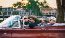 The Mavericks
